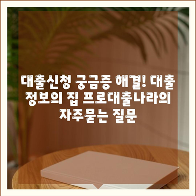 대출신청 궁금증 해결! 대출 정보의 집 프로대출나라