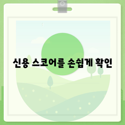 신용 스코어를 손쉽게 확인