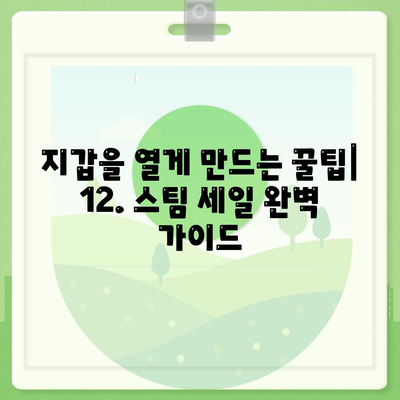 12. 스팀 세일