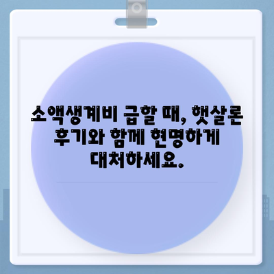 서민금융 소액생계비대출 저신용자, 대환, 햇살론 후기