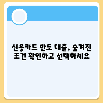 신용카드 한도 정확히 인정받는 대출 옵션