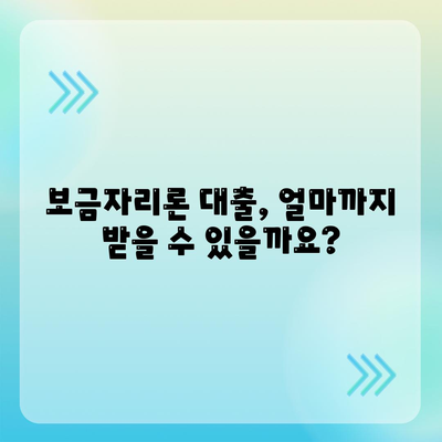 보금자리론 대출의 자격과 한계