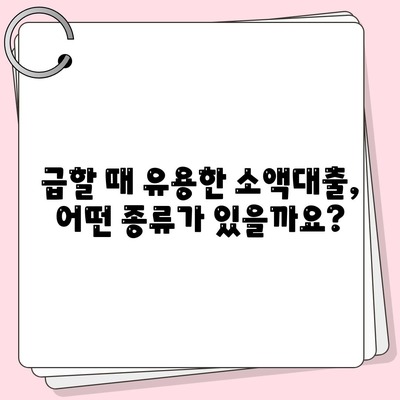 소액대출 알아보기,필수 지식