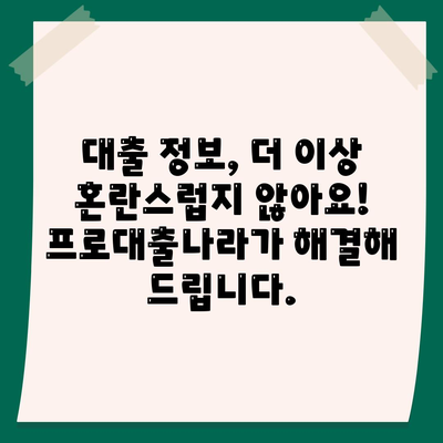 대출신청 궁금증 해결! 대출 정보의 집 프로대출나라