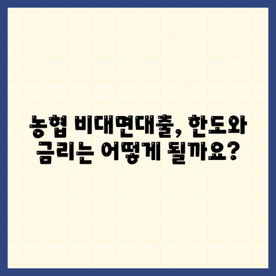 농협 비대면대출