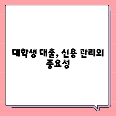 대학생 대출이 미치는 신용 영향