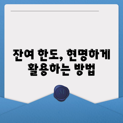 신용카드 잔여 한도 사용법의 정석