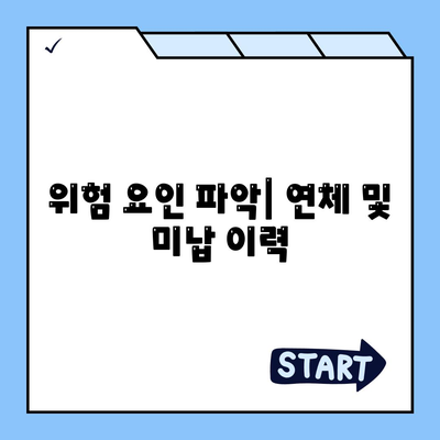 위험 요인 파악| 연체 및 미납 이력