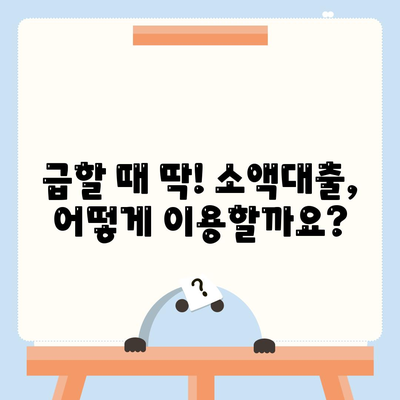 소액대출의 모든 것