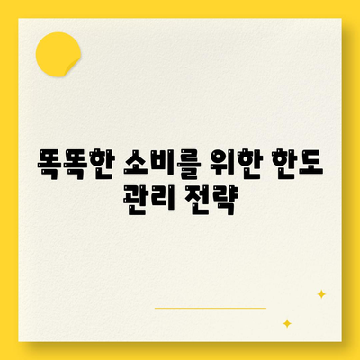 신용카드 잔여 한도 사용법의 정석