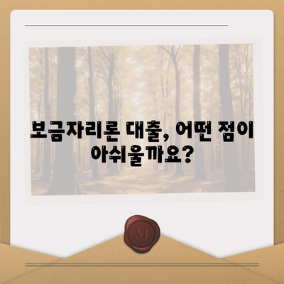 보금자리론 대출의 자격과 한계