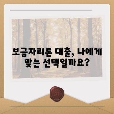 보금자리론 대출의 자격과 한계