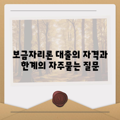 보금자리론 대출의 자격과 한계