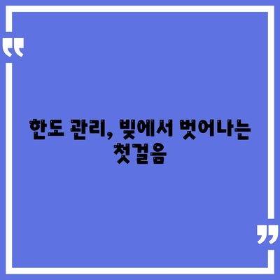 신용카드 잔여 한도 사용법의 정석