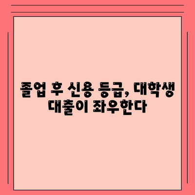 대학생 대출이 미치는 신용 영향