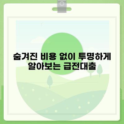 급전대출 신청 전 꼭 알아야 할 7가지 필수 체크리스트 | 급전대출, 신청 전 확인 사항, 금리 비교, 대출 조건