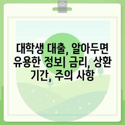 대학생 맞춤 대출 가이드| 어떤 대출이 나에게 최적인가요? | 대출 옵션 비교, 학자금 대출, 생활비 대출, 신용등급