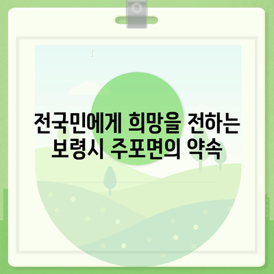 충청남도 보령시 주포면 민생회복지원금 | 신청 | 신청방법 | 대상 | 지급일 | 사용처 | 전국민 | 이재명 | 2024