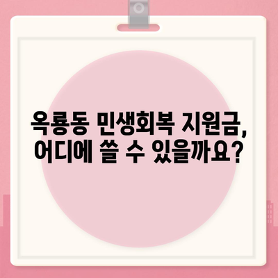 충청남도 공주시 옥룡동 민생회복지원금 | 신청 | 신청방법 | 대상 | 지급일 | 사용처 | 전국민 | 이재명 | 2024