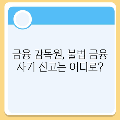 불법 금융 대출, 위험을 피하고 피해를 줄이는 방법| 리스크와 대처 전략 | 불법 금융, 대출 사기, 피해 구제, 금융 감독원