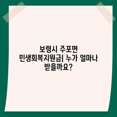 충청남도 보령시 주포면 민생회복지원금 | 신청 | 신청방법 | 대상 | 지급일 | 사용처 | 전국민 | 이재명 | 2024