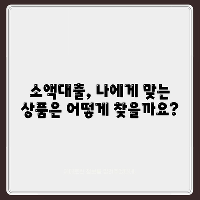 소액대출, 모든 것이 담긴 안내서 | 신청부터 승인까지, 궁금한 모든 것을 해결하세요!