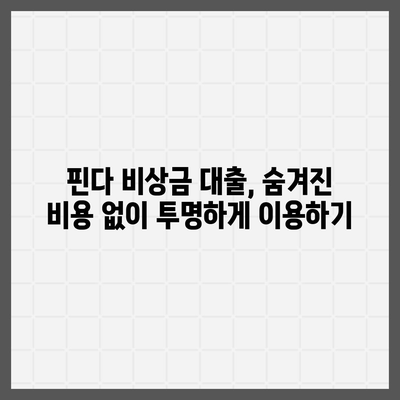 다른 곳에서 거절당했는데 핀다 비상금 대출이 딱! | 핀다 비상금 대출 후기| 실제 승인 경험 공유