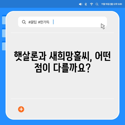 새희망홀씨와 햇살론, 동시에 받을 수 있을까요? | 정부 지원 서민금융 대출 중복 사용 가능성 확인