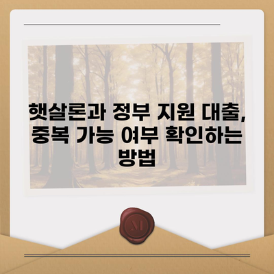 정부 지원 서민 금융 대출과 햇살론, 중복 사용 가능할까요? | 확인 방법 및 유의사항