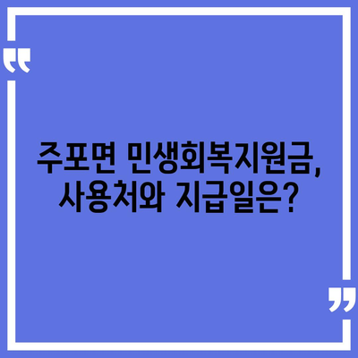 충청남도 보령시 주포면 민생회복지원금 | 신청 | 신청방법 | 대상 | 지급일 | 사용처 | 전국민 | 이재명 | 2024