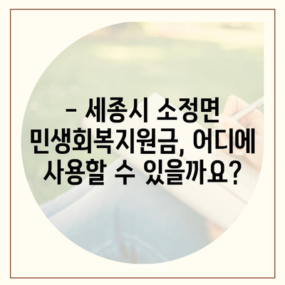 세종시 세종특별자치시 소정면 민생회복지원금 | 신청 | 신청방법 | 대상 | 지급일 | 사용처 | 전국민 | 이재명 | 2024