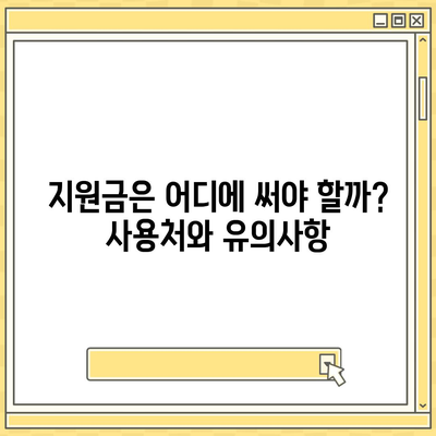 제주도 제주시 노형동 민생회복지원금 | 신청 | 신청방법 | 대상 | 지급일 | 사용처 | 전국민 | 이재명 | 2024