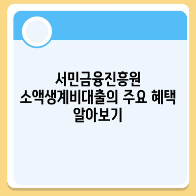 서민금융진흥원 소액생계비대출 신청하기| 성공적인 신청 방법과 팁 | 소액대출, 금융지원, 서민금융