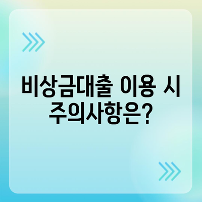 카카오뱅크 비상금대출 신청 방법과 유의사항 | 대출 조건, 절차, 이자율 안내