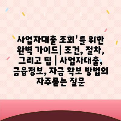 사업자대출 조회