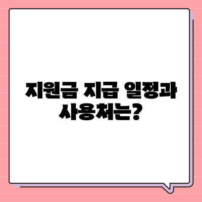 대전시 대덕구 법2동 민생회복지원금 | 신청 | 신청방법 | 대상 | 지급일 | 사용처 | 전국민 | 이재명 | 2024