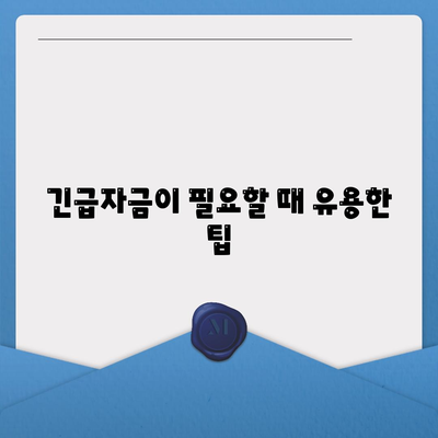 비상금대출, 이렇게 쉽게 해결하세요! | 저신용대출, 긴급자금, 금융 팁"