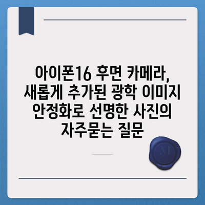 아이폰16 후면 카메라, 새롭게 추가된 광학 이미지 안정화로 선명한 사진