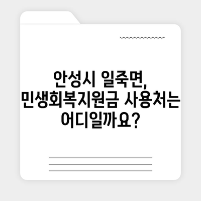 경기도 안성시 일죽면 민생회복지원금 | 신청 | 신청방법 | 대상 | 지급일 | 사용처 | 전국민 | 이재명 | 2024