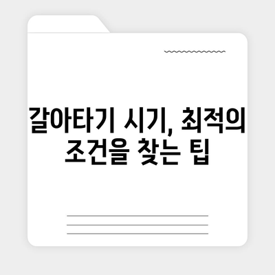 저금리 전세대출 갈아타기로 이자 절약하는 방법 | 전세대출, 이자 절약, 재정관리