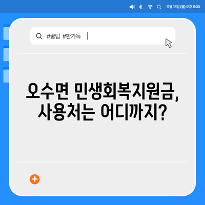 전라북도 임실군 오수면 민생회복지원금 | 신청 | 신청방법 | 대상 | 지급일 | 사용처 | 전국민 | 이재명 | 2024