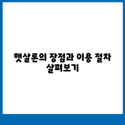 정부 지원 서민금융 대출! 새희망홀씨와 햇살론 중복 사용 가능성 검토하기 | 서민금융, 대출 가이드, 정부 지원"