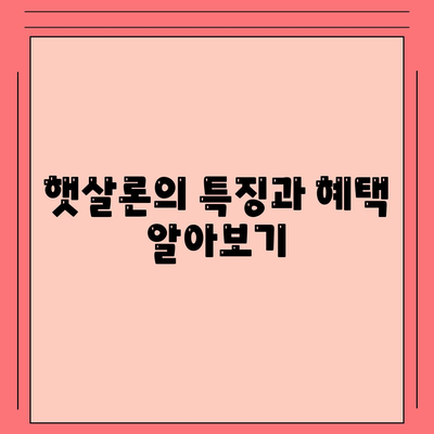 미소금융 창업 운영 자금대출과 햇살론, 무엇이 다를까? 중요 사항 및 활용 팁 | 창업 자금, 대출 비교, 금융 지원