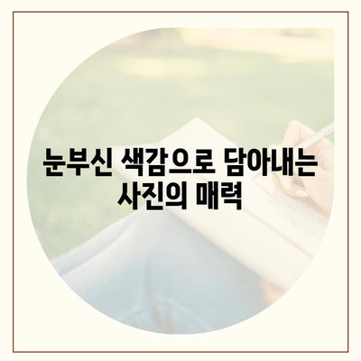 아이폰16의 선명한 색상이 눈 부시는 아름다움 선사