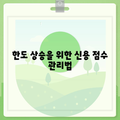 신용카드 한도 정확하게 인정받기 위한 실속 가이드 | 신용카드, 한도, 금융 팁