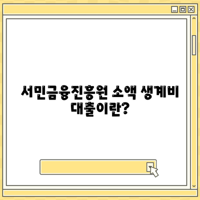 서민금융진흥원의 소액 생계비 대출 이해하기| 신청 방법과 조건 총정리 | 생계비 대출, 서민금융, 금융 지원