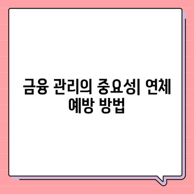 대출 연체의 장기적인 영향과 대처 메커니즘 | 금융 관리, 신용 회복, 대출 솔루션