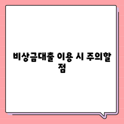 1금융 비상금대출 이용 방법 및 신청 팁 | 비상금 대출, 금융 상품, 대출 가이드