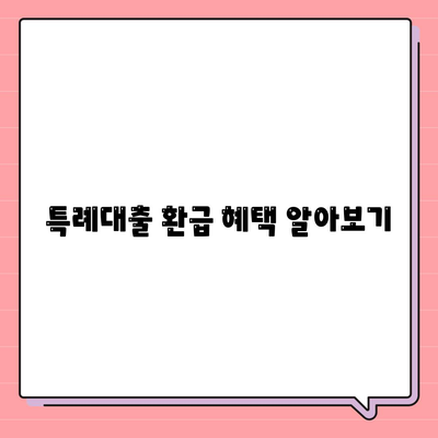 생후아 특례대출 환급 자격 완벽 가이드 | 대출, 환급, 자격 조건, 혜택