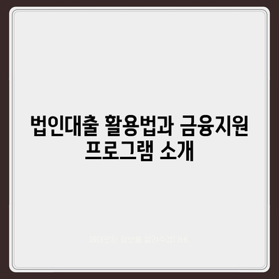 법인사업자대출 종류와 신청 조건 완벽 가이드 | 법인대출, 신청요건, 금융지원